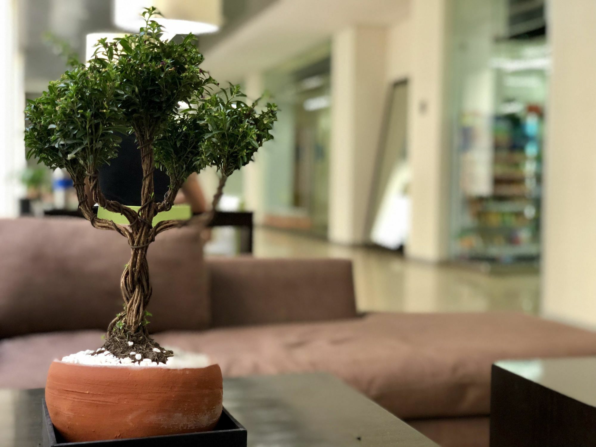 מקסיקו סיטי Boutique Apartment Puerta Alameda-801 מראה חיצוני תמונה